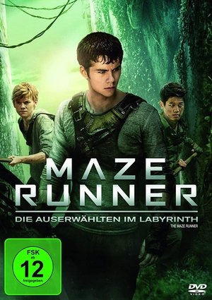 poster The Maze Runner