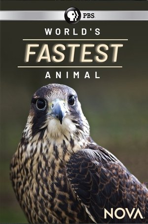 Poster World's Fastest Animal (2018)