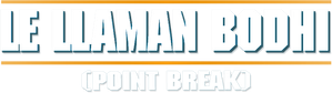 Le llaman Bodhi