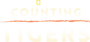 Counting Tigers — Logos 3