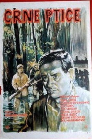Poster Crne ptice 1967