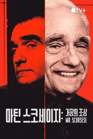 Image '마틴 스코세이지: 거장의 초상' - Mr. Scorsese