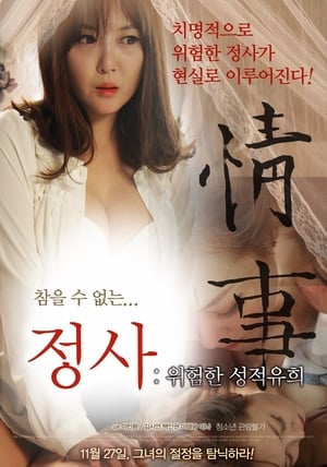 Poster An Affair A Dangerous Sexual Play (2014)