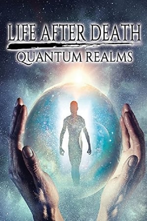 Poster Life After Death: Quantum Realms 2017