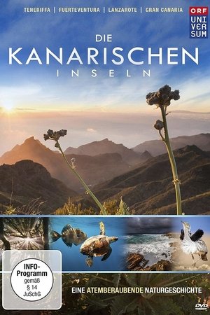 Poster di Die Kanarischen Inseln