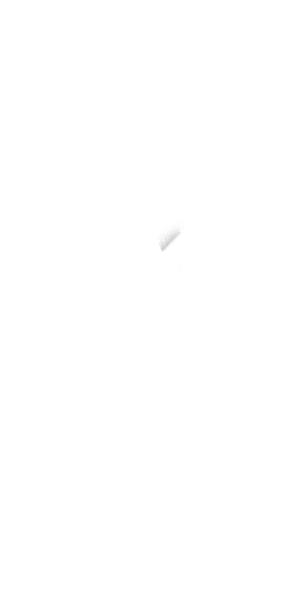 Leyenda de la Generala — Logos 2