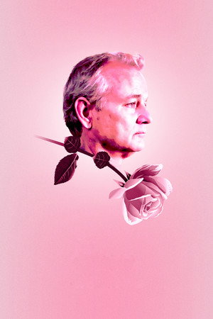 Broken Flowers 37