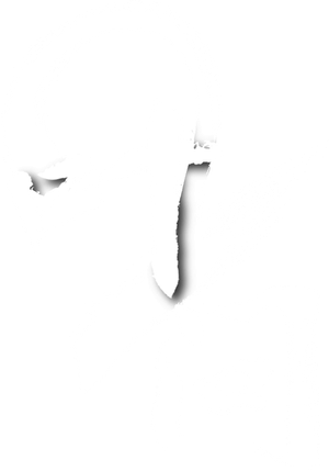 Ip Man 2 — Logos 2
