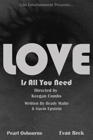 Love Is All You Need's Poster