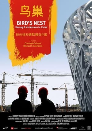 Bird's Nest - Herzog & de Meuron in China film complet