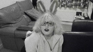 Pet Bunny