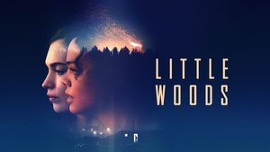 Little Woods 2018