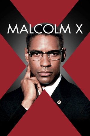 Malcolm X Torrent Malcolm X Torrent, Download, movie, filme, poster