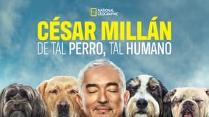 poster Cesar Millan: Better Human, Better Dog