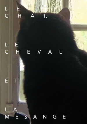 Le chat, le cheval et la mésange