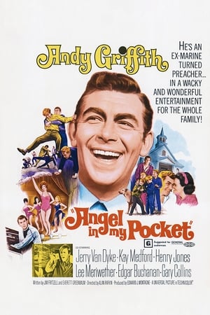 Angel in My Pocket poster