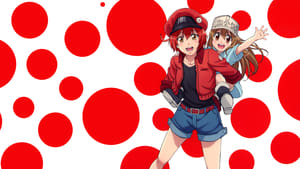 Cells at Work!