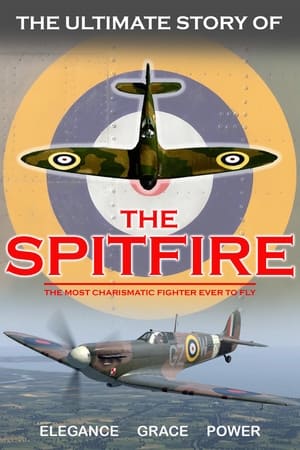 The Ultimate Story Of the Spitfire