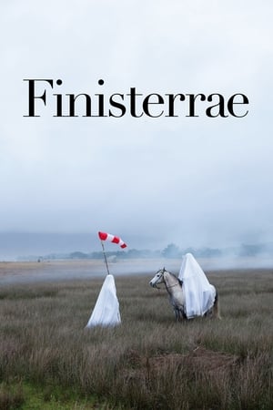 Poster Finisterrae (2010)