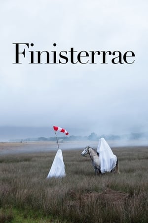 Poster Finisterrae 2010