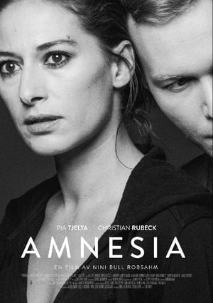 Poster Amnesia (2014)