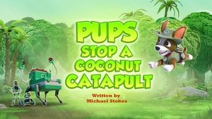 Épisode 3