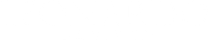 Leonardo da Vinci — Logos 2
