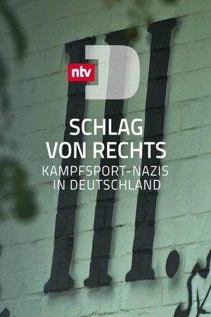 Póster oficial de la película Schlag von rechts - Kampfsport-Nazis in Deutschland