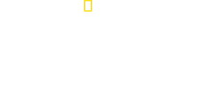 Em Busca da Onça-Pintada — Logos 1