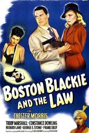 Boston Blackie and the Law poster