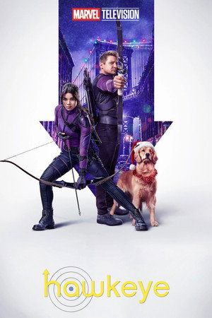 Постер сериала «Соколиный глаз (2021)» — (19 из 208)