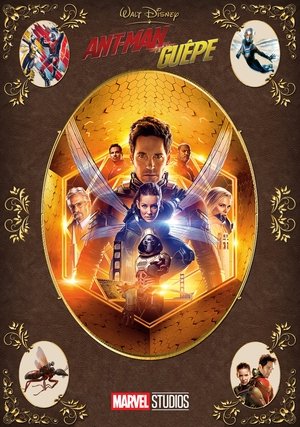<Images posters