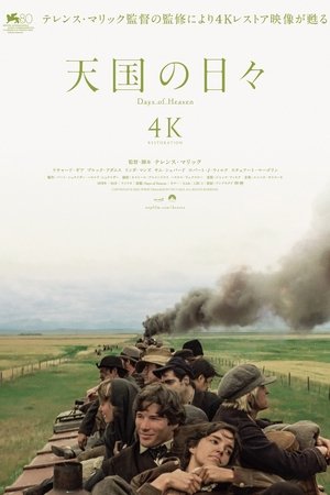 天国の日々 (1978)