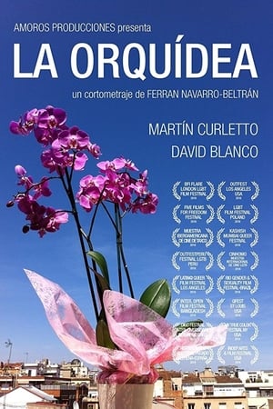 Poster La Orquídea 2016