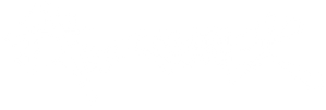 Ảnh 105