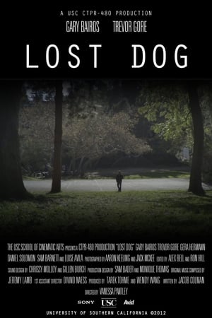 Lost Dog