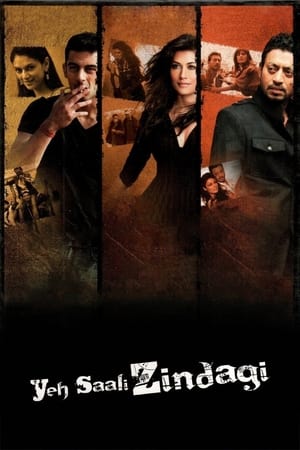 Yeh Saali Zindagi 2011