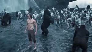 The Legend of Tarzan ( 2016 )