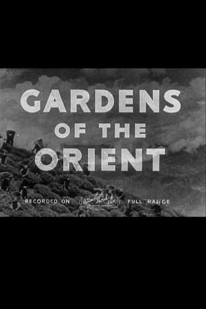 Poster di Gardens of the Orient