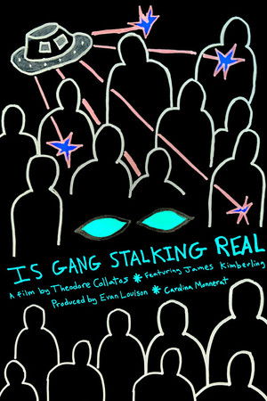 Is Gang Stalking Real