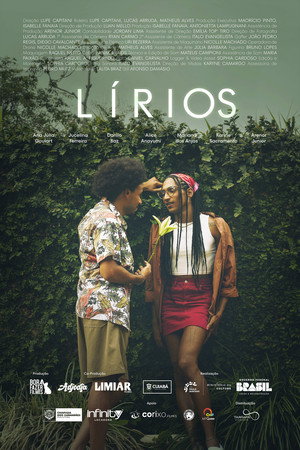 Lírios 6