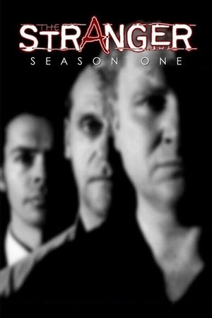 The Stranger - Season 1