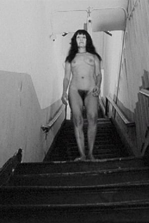 Nude Decending the Stairs