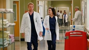 Grey’s Anatomy 11 x Episodio 20