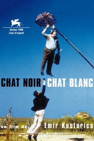 Poster Chat noir, chat blanc 1998