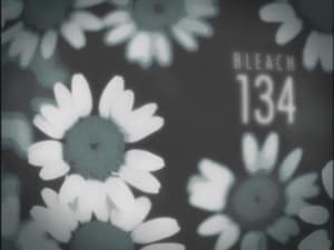 Bleach – Episode 134 English Dub