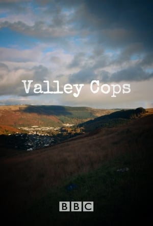 Image Valley Cops