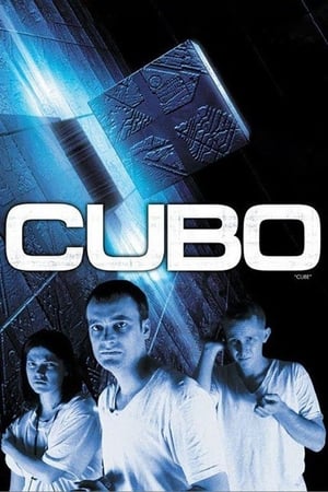 Poster Cubo 1998