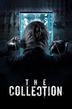 The Collection 50