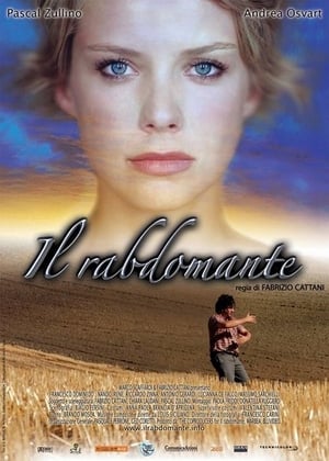 Poster Il rabdomante 2007